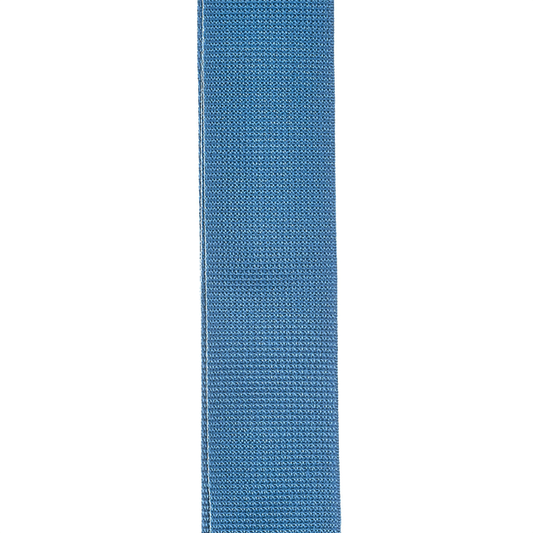 D'Addario Polypropylene Guitar Strap, Blue