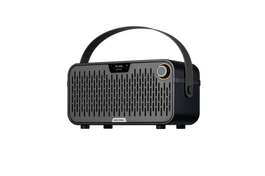 Hotone Pulze JR Eclipse 2x3-inch 20W guitar amplifier combo