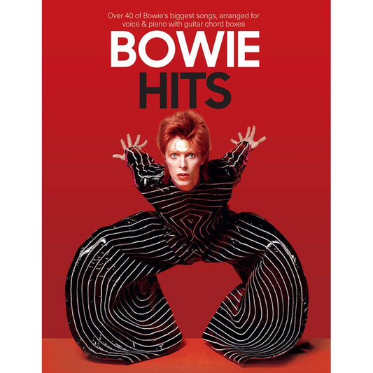Bowie, David: Bowie: Hits (PVG)
