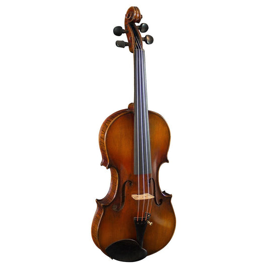 Hidersine Venezia Violin Outfit