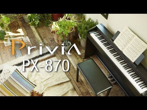 Casio Privia PX870 Digital Piano