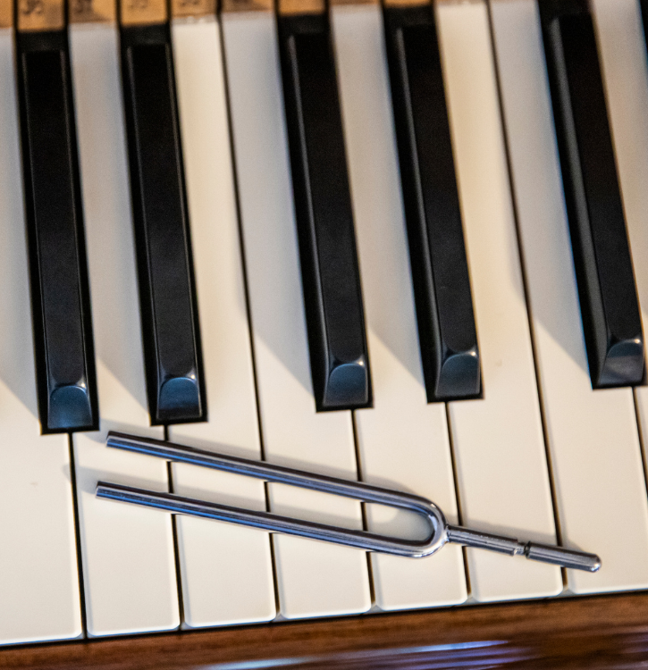 What Is A Pitch Raise On A Piano And Do You Need It?