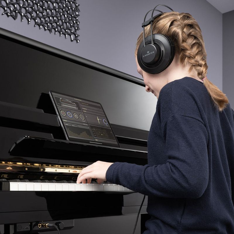 Bechstein Vario 800_x_800.jpg__PID:955061e7-28a7-4b25-9cdf-6da513caad81
