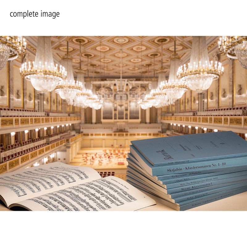 Henle Puzzle: Concert Hall (500 Pieces)