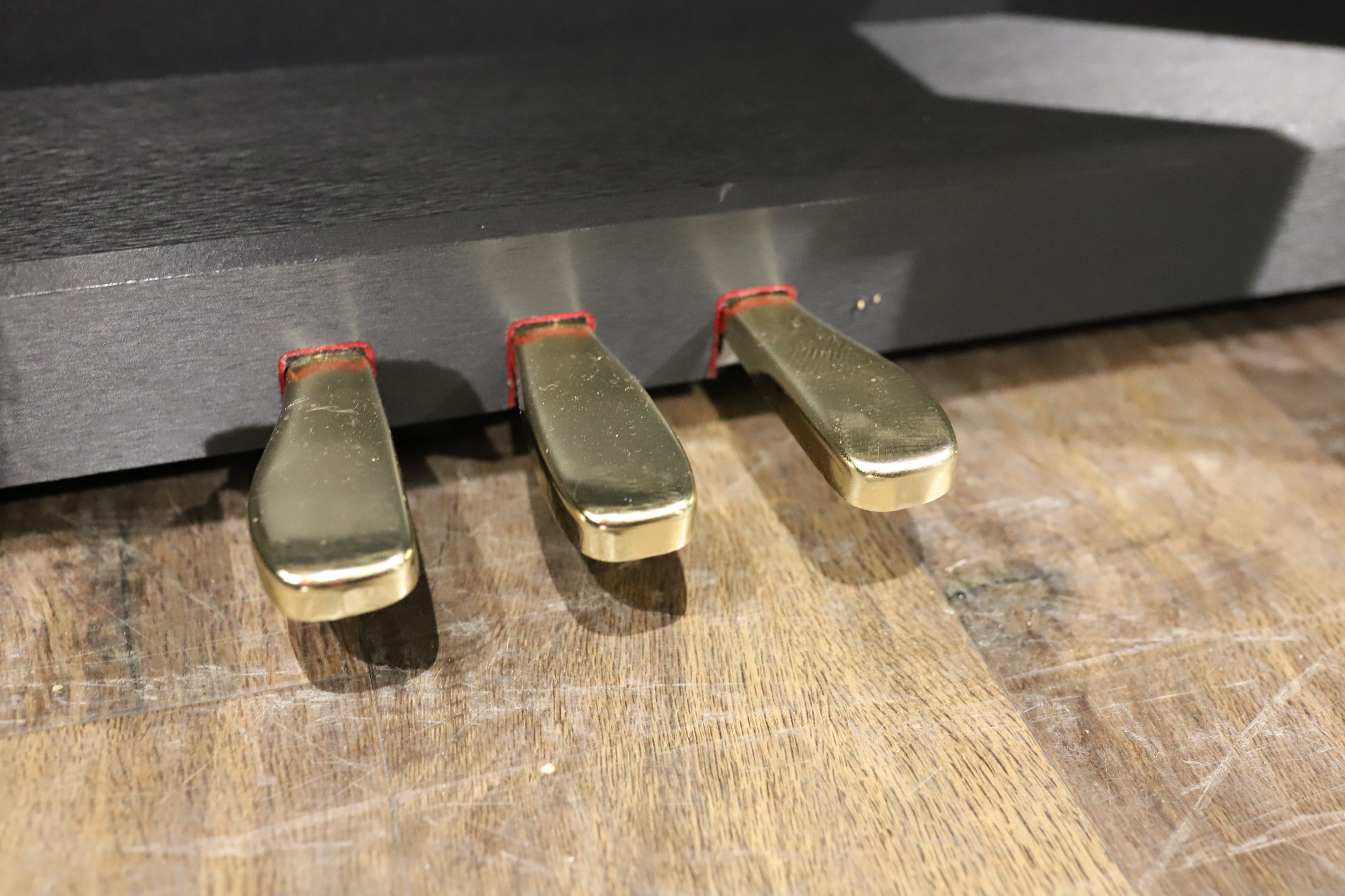 Casio Celviano AP-700 (Secondhand)