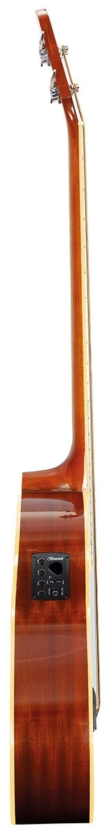 Brunswick TBJBA Acoustic Bass Guitar, Natural Gloss