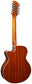 Brunswick BTK5012NA 12-String Electro Advanced Stage Guitar