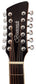 Brunswick BTK5012NA 12-String Electro Advanced Stage Guitar