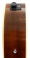Brunswick BTK5012NA 12-String Electro Advanced Stage Guitar