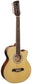Brunswick BTK5012NA 12-String Electro Advanced Stage Guitar