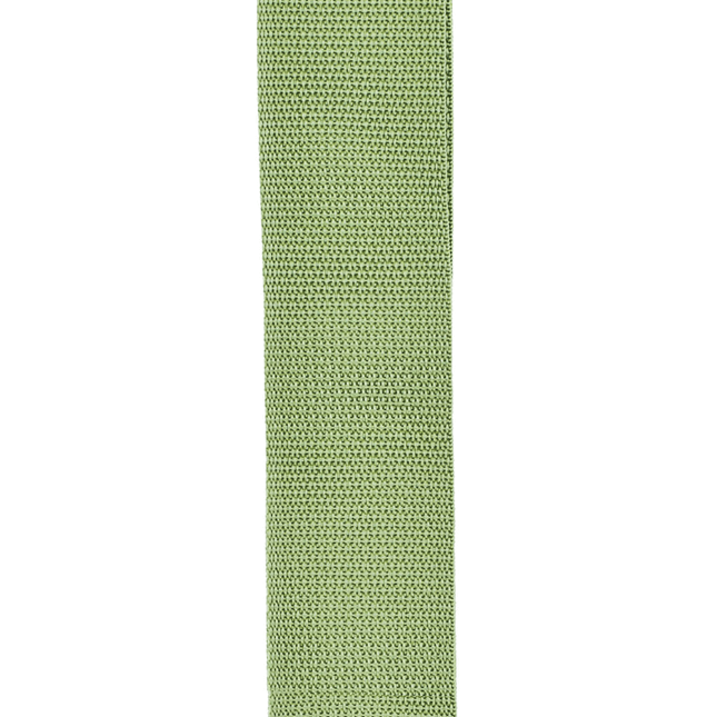 D'Addario Polypropylene Guitar Strap, Green