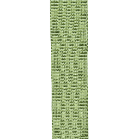 D'Addario Polypropylene Guitar Strap, Green
