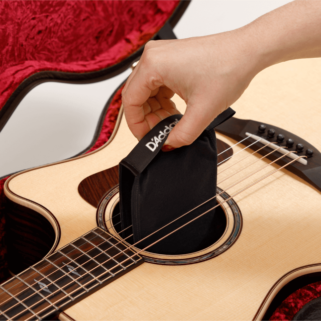 D'Addario Humidipak Restore Kit (for guitar)