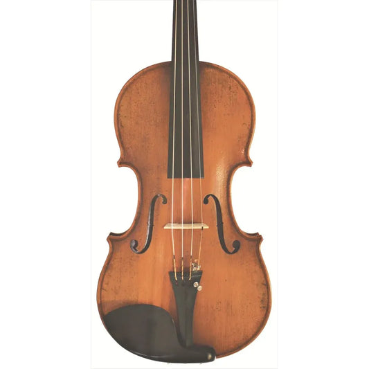 Eastman Young Master Violin Outfit