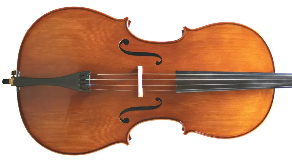 Primavera 200 Cello Outfit with Aurora Strings (All Sizes)