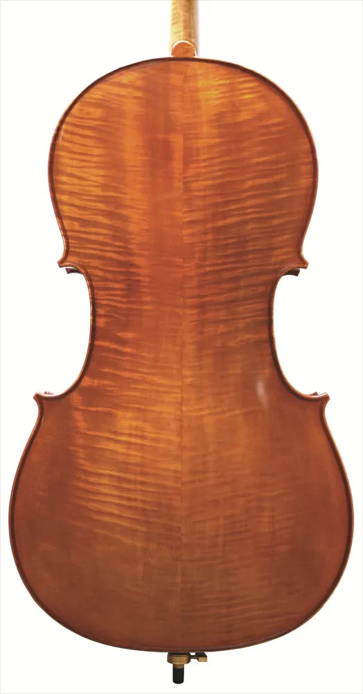 Westbury Cello Outfit