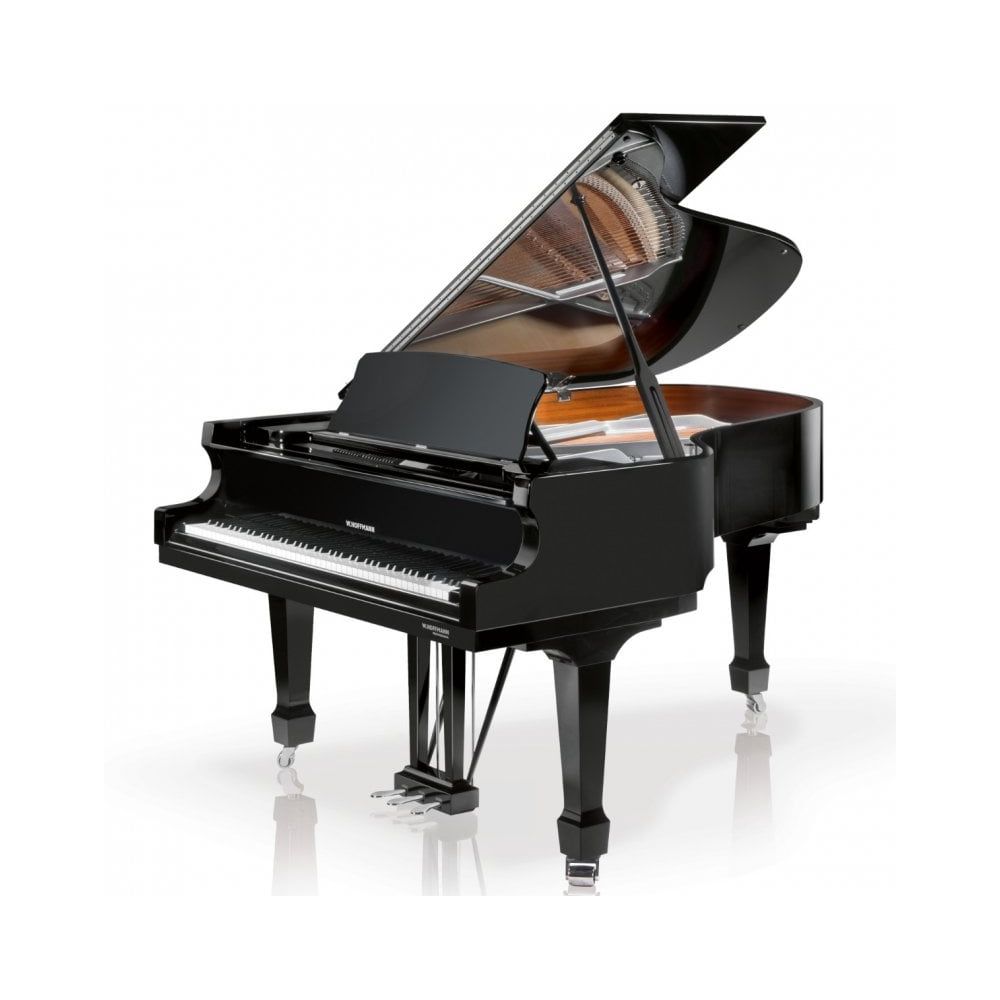 W.Hoffmann P206