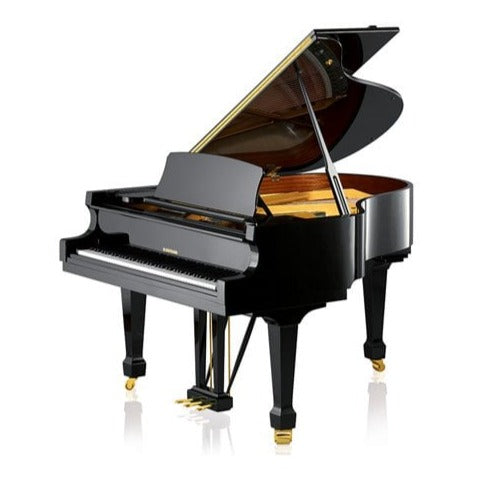 W.Hoffmann T161