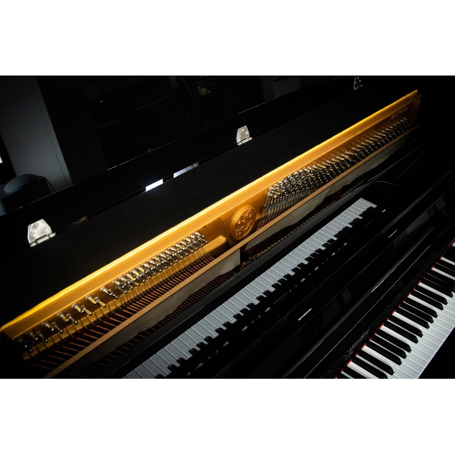 Ritmüller EU118 Upright Piano