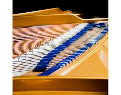 C.Bechstein Concert B212 Grand Piano