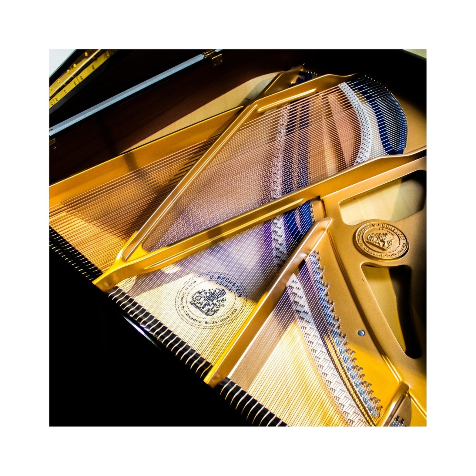 C.Bechstein Academy A190 Grand Piano
