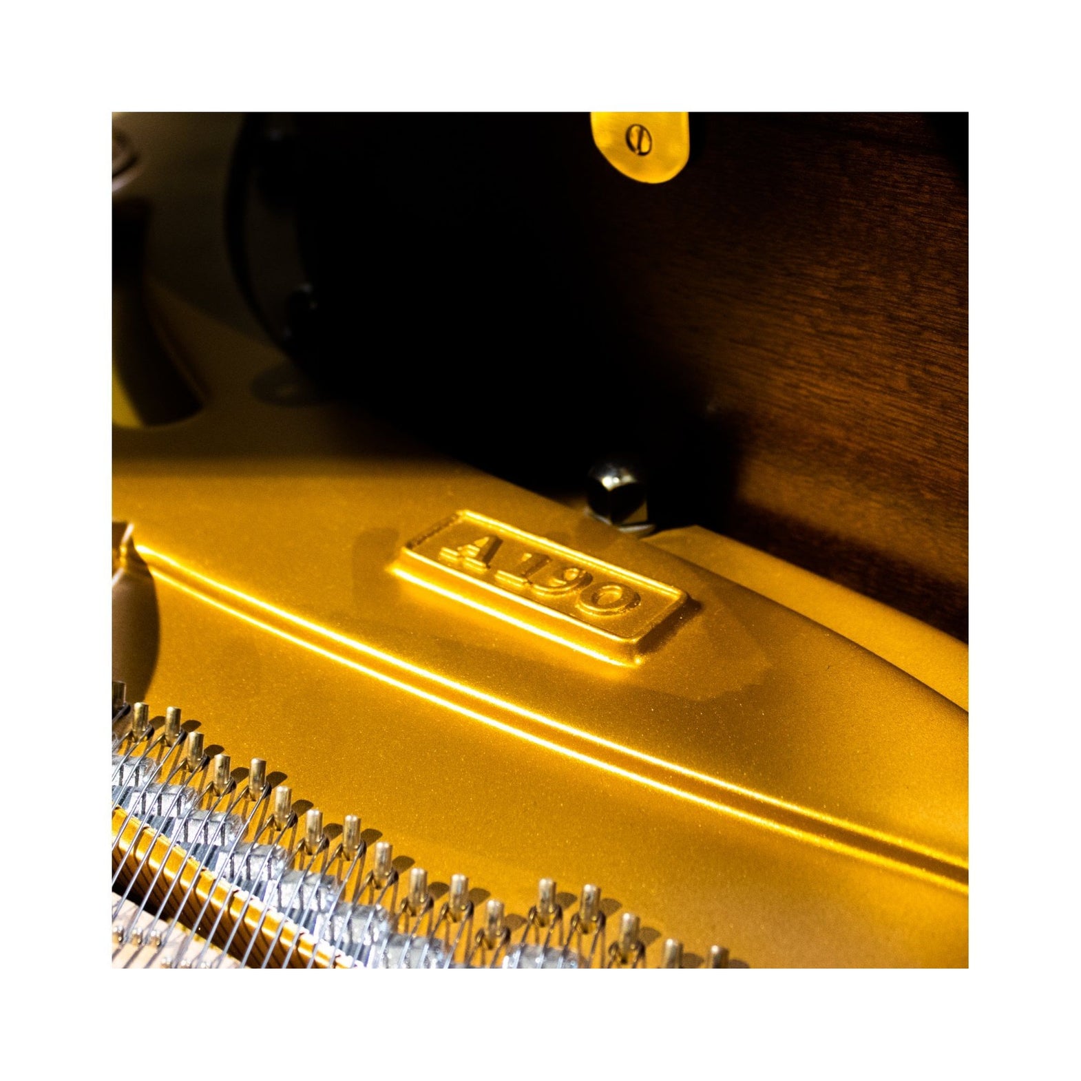 C.Bechstein Academy A190 Grand Piano